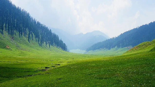bangus-valley_brown_chinar_kashmir-636x360.jpg